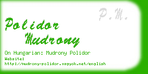 polidor mudrony business card